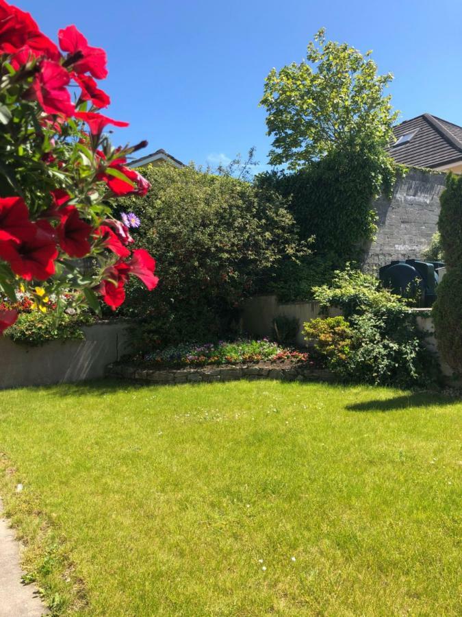 Amber Heights Bed & Breakfast Galway Eksteriør bilde