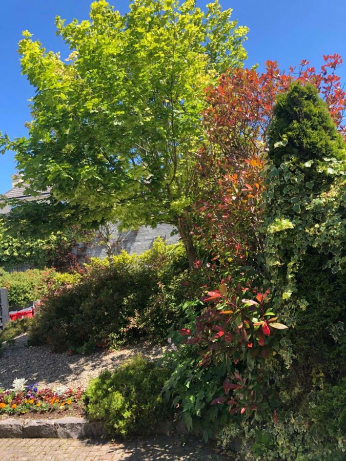 Amber Heights Bed & Breakfast Galway Eksteriør bilde